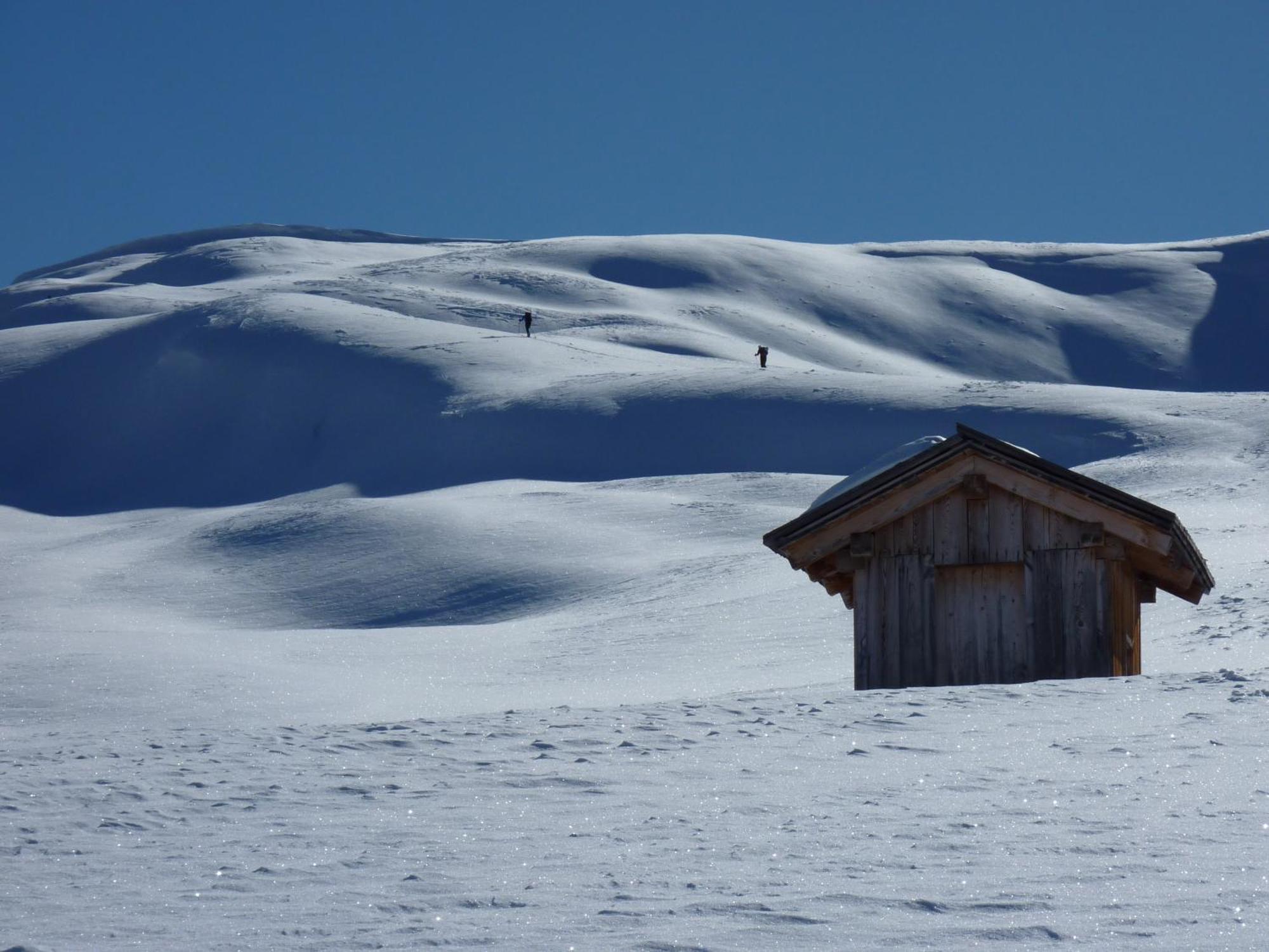 Apparthotel Bio Natur Refugium Blaslahof Santa Maddalena in Casies Zewnętrze zdjęcie